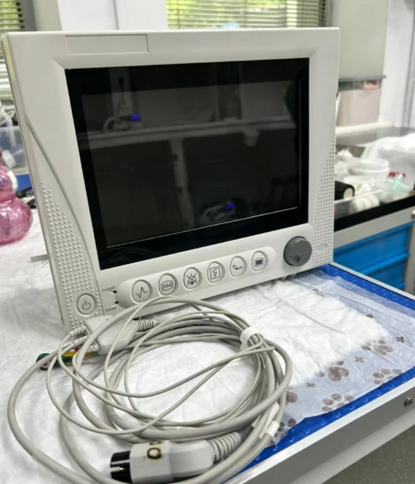 image-5